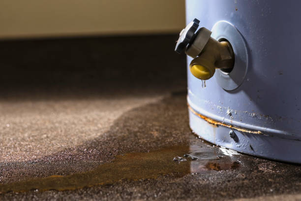 Best Residential water damage restoration  in Biltmore, TN