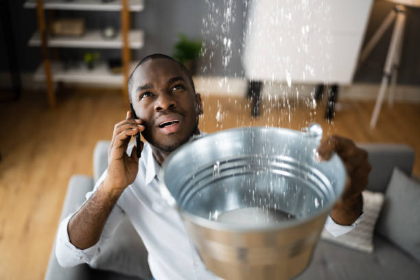 Best Flood damage cleanup  in Biltmore, TN