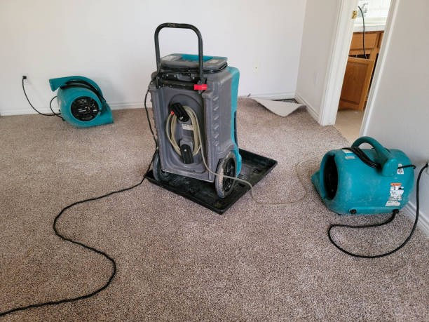 Best Fire Damage Restoration  in Biltmore, TN