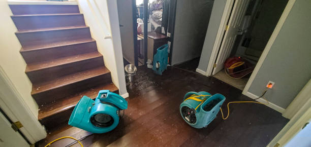 Best Commercial water damage restoration  in Biltmore, TN