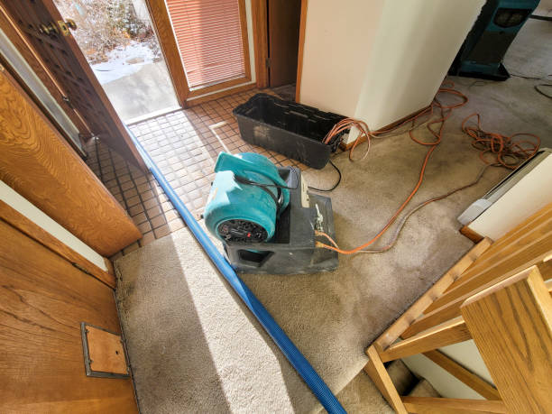 Best Water damage restoration process  in Biltmore, TN