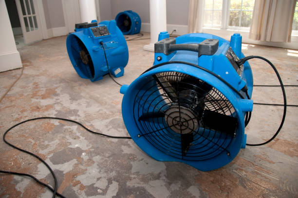 Best Water damage contractors near me  in Biltmore, TN