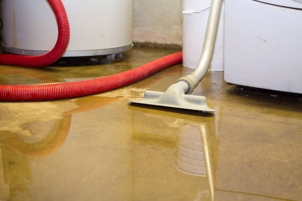 Best 24-hour water damage restoration  in Biltmore, TN