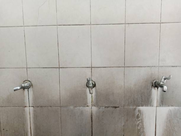  Biltmore, TN Water damage restoration Pros