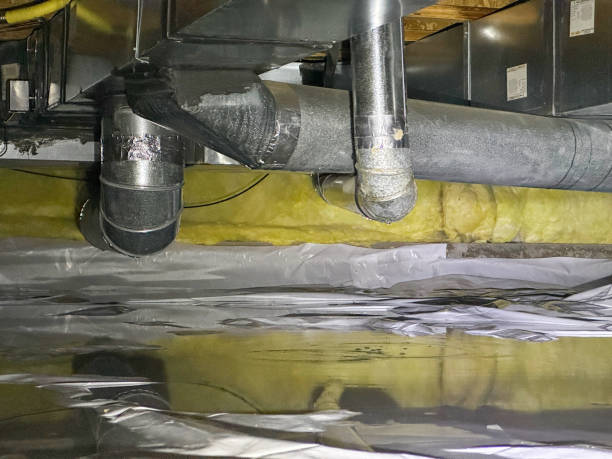 Best Professional water damage repair  in Biltmore, TN