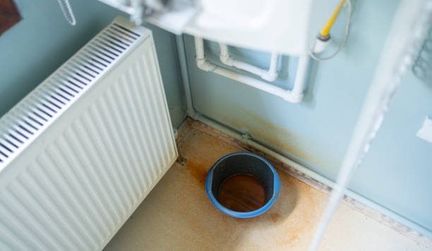 Best Mold removal after water damage  in Biltmore, TN